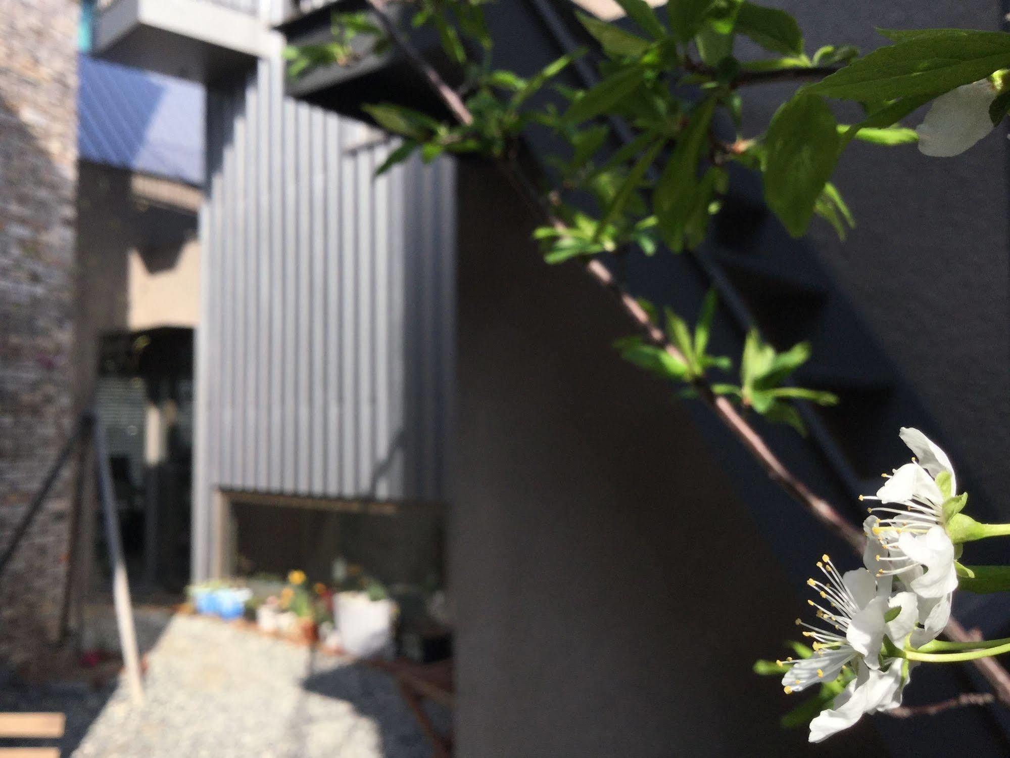 Inside Busan Hostel Exterior foto